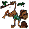 MONKEY PICKING COCONUTS