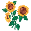 SUNFLOWERS