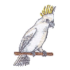 COCKATOO