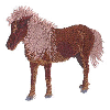 SHETLAND PONY