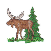 MOOSE