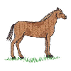 HORSE