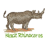 BLACK RHINOCEROS