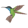 HUMMINGBIRD