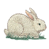 BUNNY IN THE GRASS