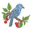 BLUE BIRD