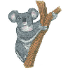 KOALA