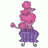 POODLE SITTING ON A STOOL