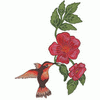 HUMMINGBIRD AND FLOWER