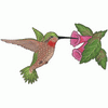 HUMMINGBIRD AND FLOWER