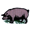 APPLIQUE PIG