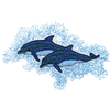 BOTTLENOSE DOLPHINS