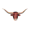 LONGHORN