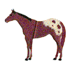 FULL BODY APPALOOSA