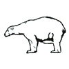 POLAR BEAR OUTLINE