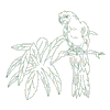 LARGE MACAW OUTLINE