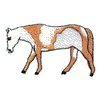 PAINT HORSE