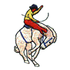 BRONCO RIDER