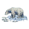 POLAR BEAR ON ICE