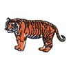 BENGAL TIGER