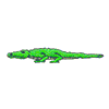 CROCODILE