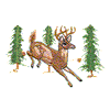 DEER W/FOREST SCENE