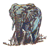 AFRICAN ELEPHANT