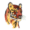 TIGER HEAD