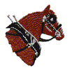 HORSE HEAD PROFILE