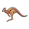 KANGAROO #1