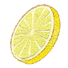 LEMON SLICE