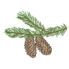 PINECONE BRANCH