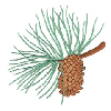 PINECONE BRANCH