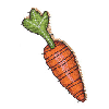 QUILTED CARROT