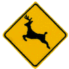 DEER CROSSING