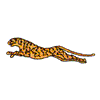 CHEETAH BORDER