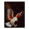 EAGLE (SEWN ON BLACK)