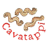 CAVATAPPI