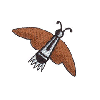 INSECT DESIGN