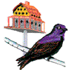 PURPLE MARTIN