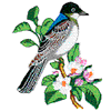 EASTERN KINGBIRD