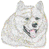 SAMOYED