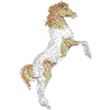 PAINT HORSE