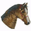 HORSE HEAD