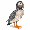 PUFFIN