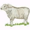 GERMAN MUTTON MERINO