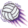 VOLLEYBALL