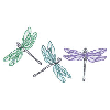 DRAGONFLIES