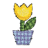 GINGHAM FLOWER POT