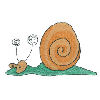 SNAIL